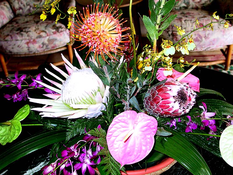 botanic bouquet
