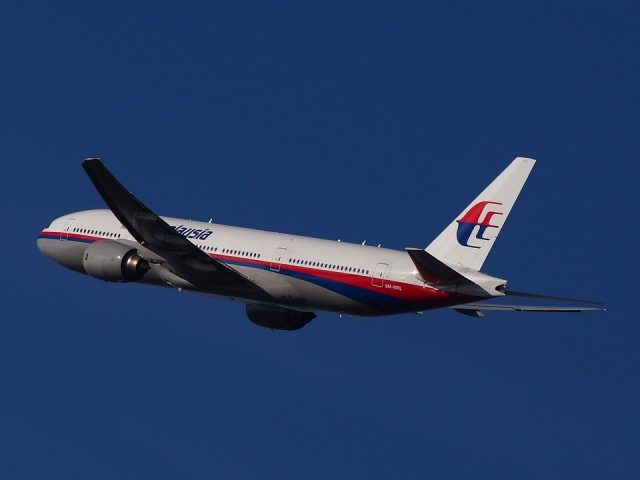 An Image of Malaysian Airlines Airplane