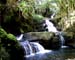 botanic waterfall