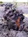 volcano tree hole lava tall